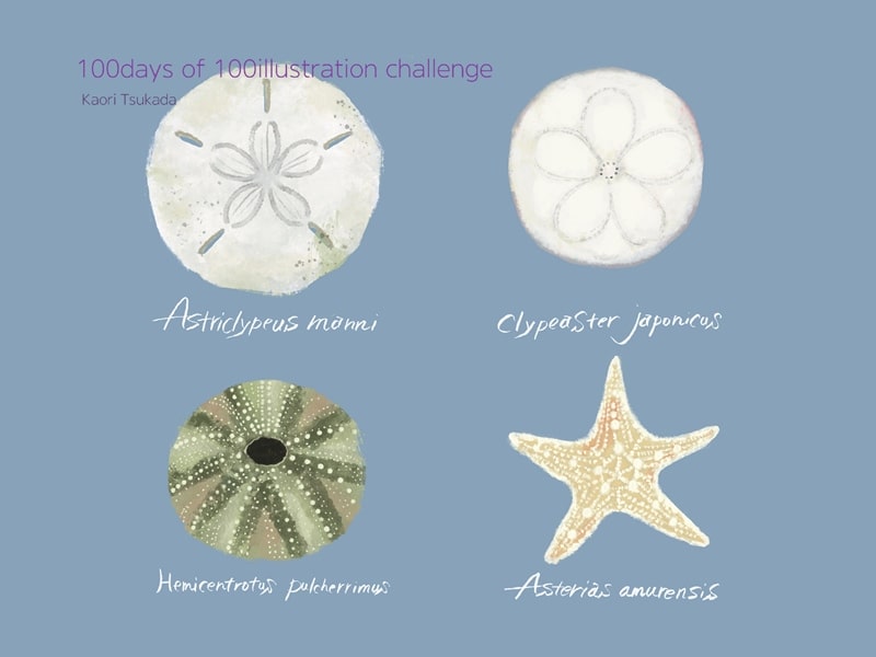 100日チャレンジ10枚目