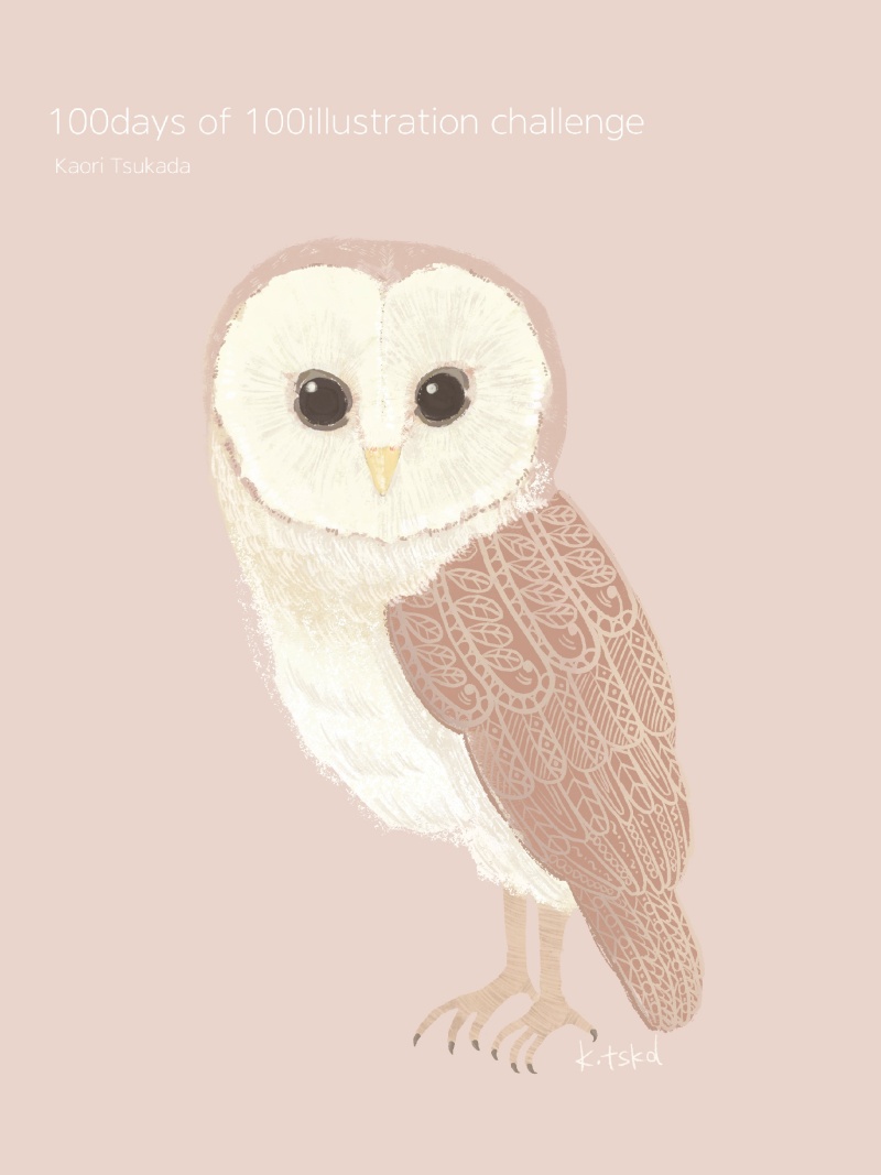 barnowl