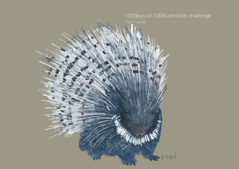 porcupine