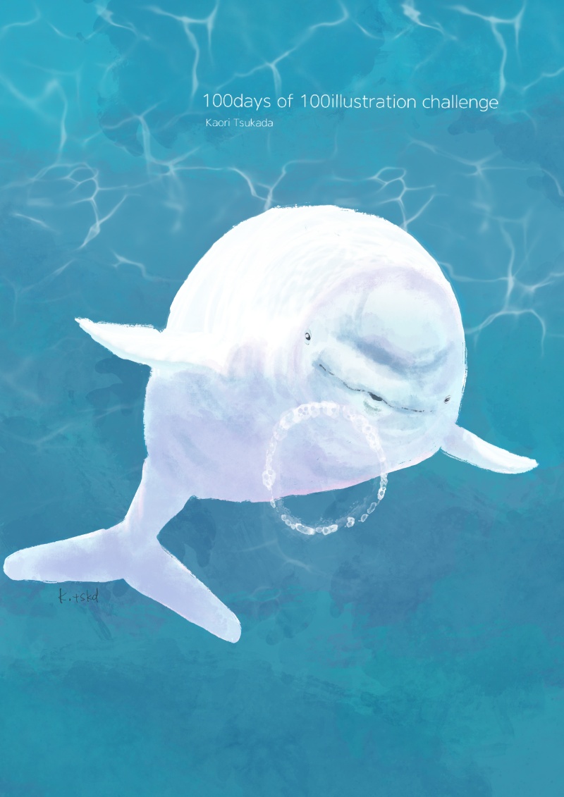dolphin