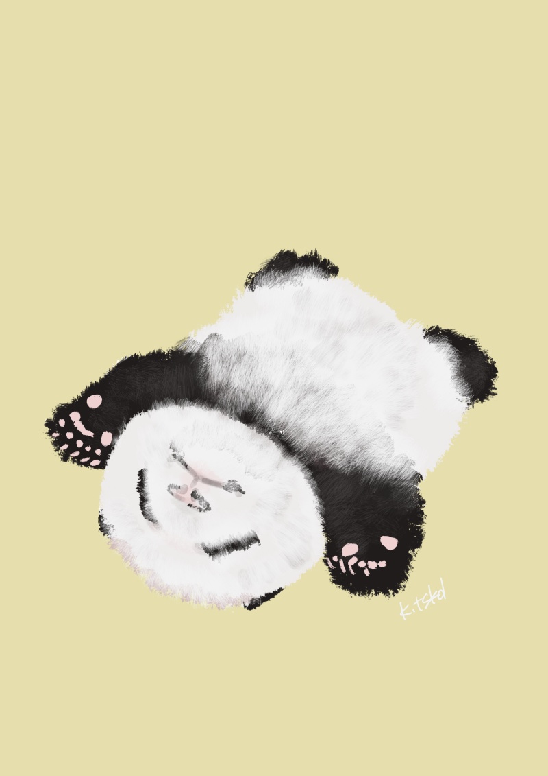 panda